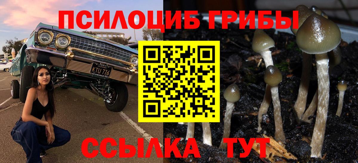 Галлюциногенные грибы мухоморы Северобайкальск