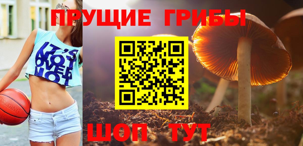 Псилоцибиновые грибы Psilocybe  Псилоцибиновые грибы GOLDEN TEACHER  Северобайкальск  Вход с VPN 